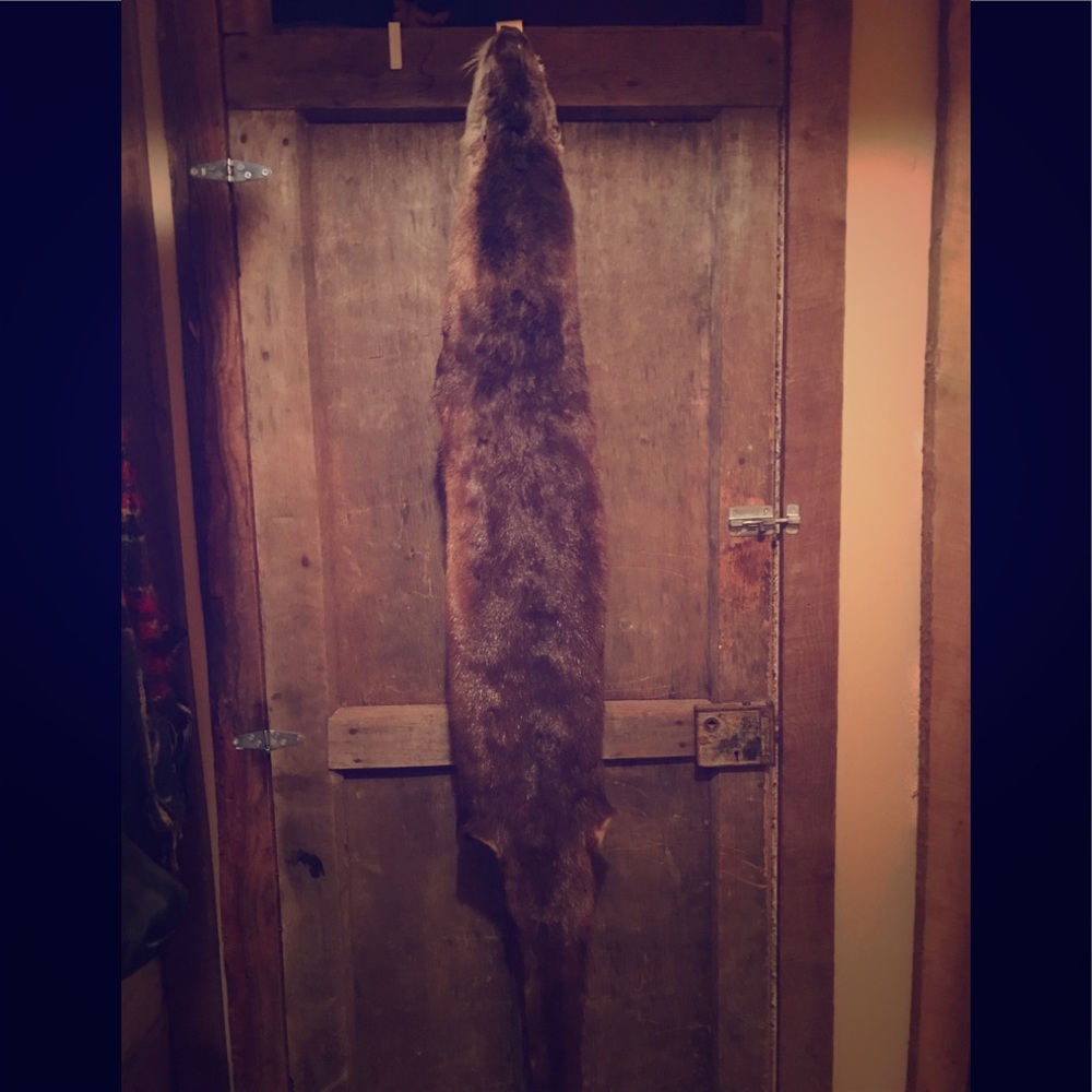 River Otter hide